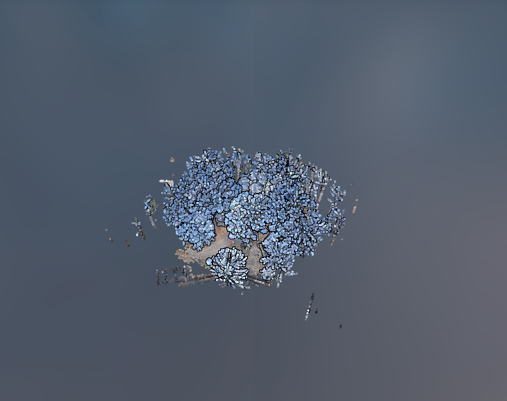 Tersus House Scan point cloud sample data for Building